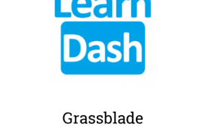 LearnDash LMS GrassBlade Add-On 0.1.0