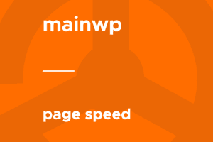 MainWP – Page Speed 4.0.3