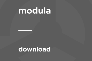 Modula – Download 1.0.6 插件下载