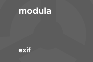 Modula – Exif 1.0.5 插件下载