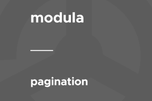 Modula – Pagination 1.0.5 插件下载