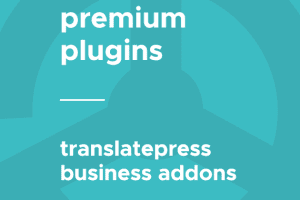 TranslatePress – Business 1.2.2 网站多语言插件商务拓展程序下载