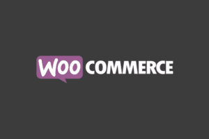 SearchWP WooCommerce Integration Add-On 1.3.10