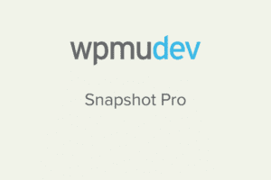WPMU DEV Snapshot Pro v.4.9.0 按需备份网站插件下载