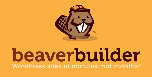 Beaver Builder Professional（核心） v.2.6+ v2.5.5.5 海狸可视化网页构建器插件下载