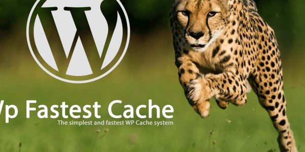 WP Fastest Cache Premium 1.6.8 WordPress静态缓存插件下载