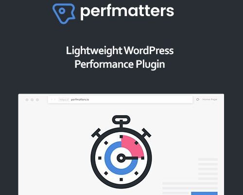 Perfmatters 2.3.1 轻量级 WordPress 性能优化加速插件下载