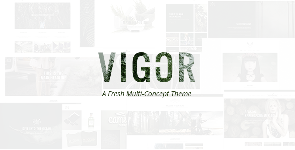 Vigor v3.3 – 复古WordPress主题下载