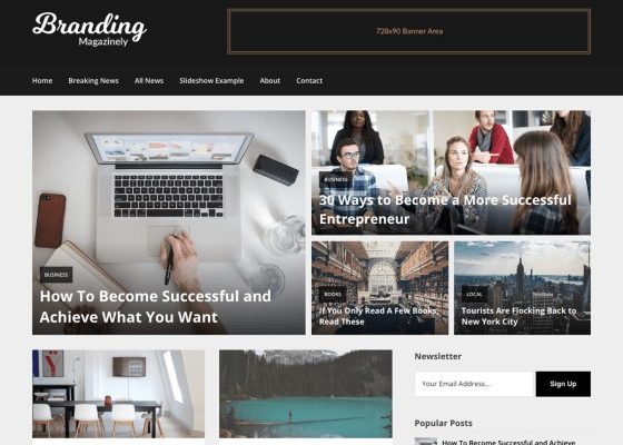 Magazinely 121.4 [Superb]新闻杂志博客wordpress主题下载