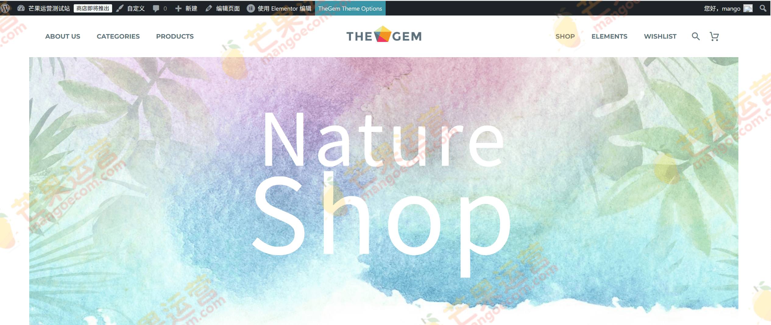 TheGem主题下载