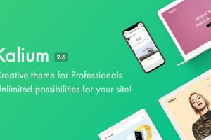 Kalium v3.7 – Creative Template for WordPress主题下载