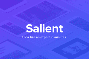 Salient v15.0.4 – 响应式多功能主题下载