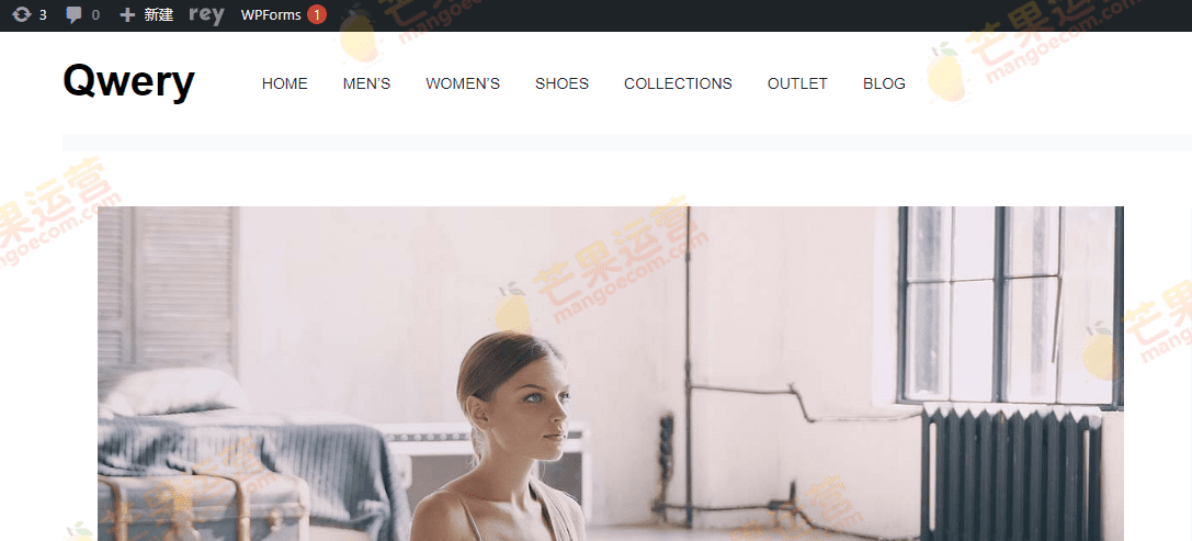 Rey 时尚服装艺术WordPress主题破解版免费下载