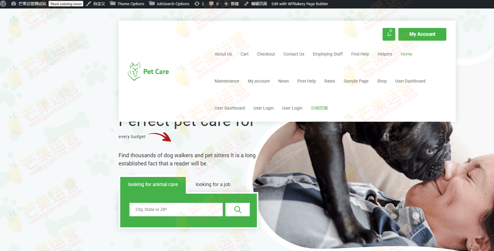 Careerfy Job Board 求职板招聘WordPress主题破解版下载