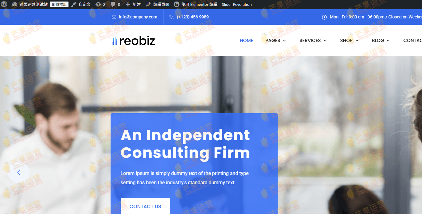 Reobiz  咨询业务 WordPress 主题破解版下载