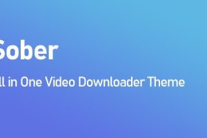 Sober All in One Video Downloader Theme v.1.2.0 多合一视频下载器源码下载