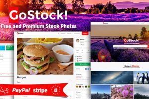 GoStock v.5.3 – 用于组织图库照片的脚本源码下载