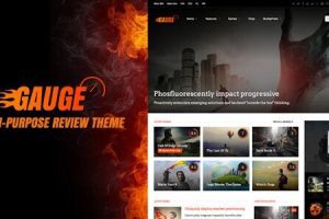 Gauge v6.49.1 多用途评测主题免费下载