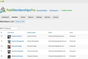 Paid Memberships Pro - Multisite Membership v4.4 插件下载
