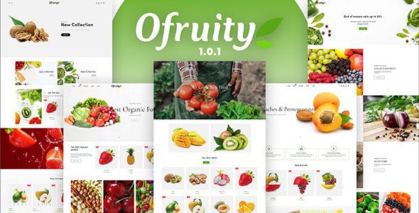 OFRUITY V1.0.1 – 有机食品/水果/蔬菜电子商务shopify主题下载