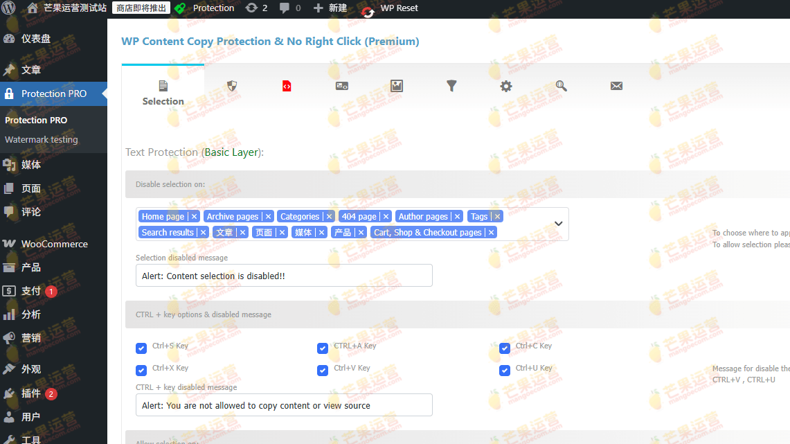 WP Content Copy Protection & No Right Click (Pro) 禁用网页文本复制插件破解版下载
