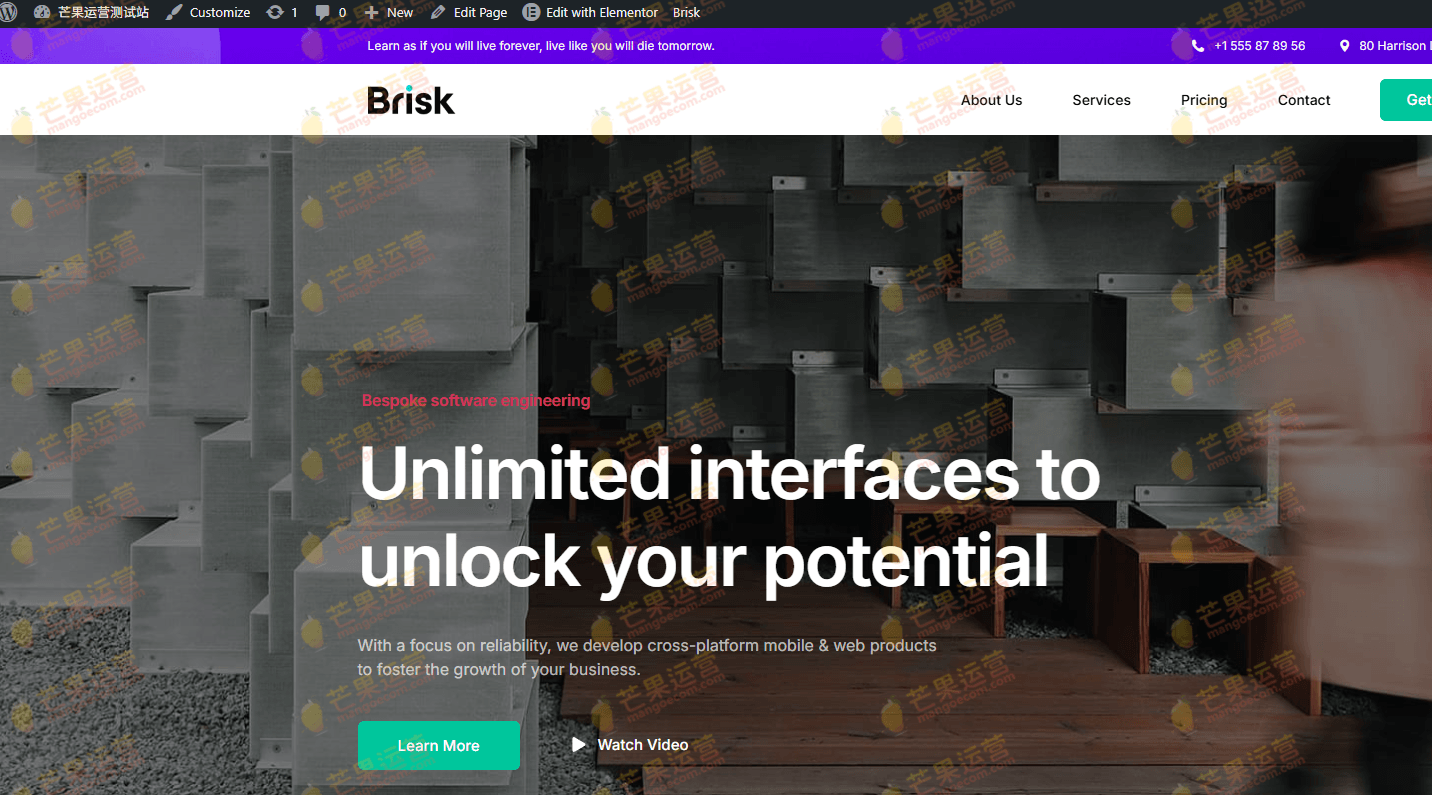 Brisk 多功能 Elementor WordPress主题破解版下载