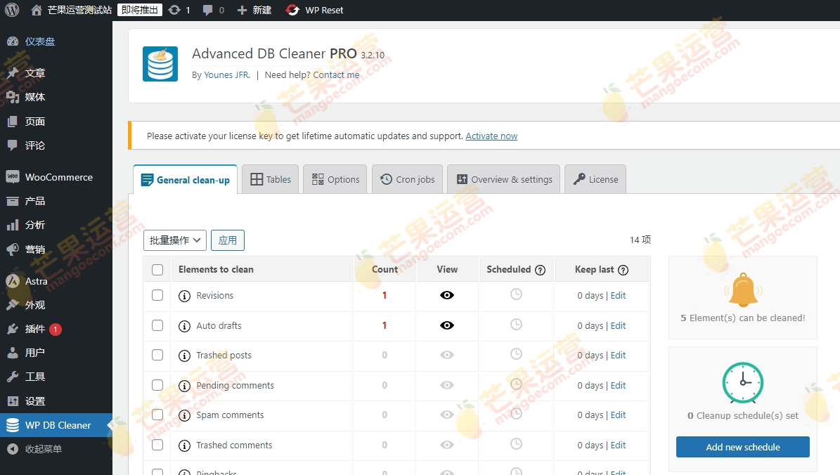 WordPress Advanced Database Cleaner Pro 数据库清理插件破解版下载