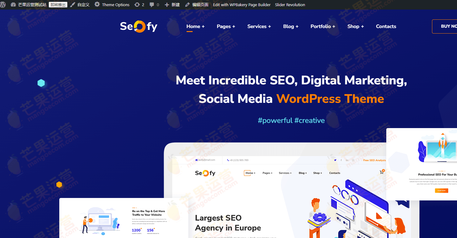 Seofy 数字营销 WordPress 主题破解版下载