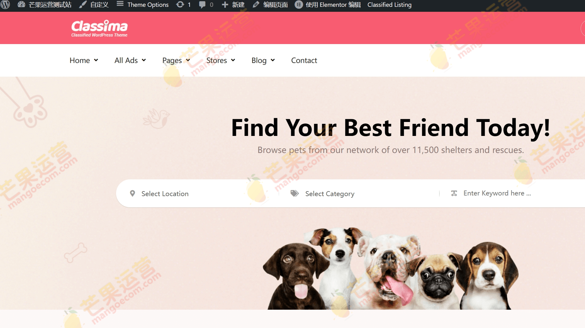 Classima 分类广告 WordPress 主题破解版下载