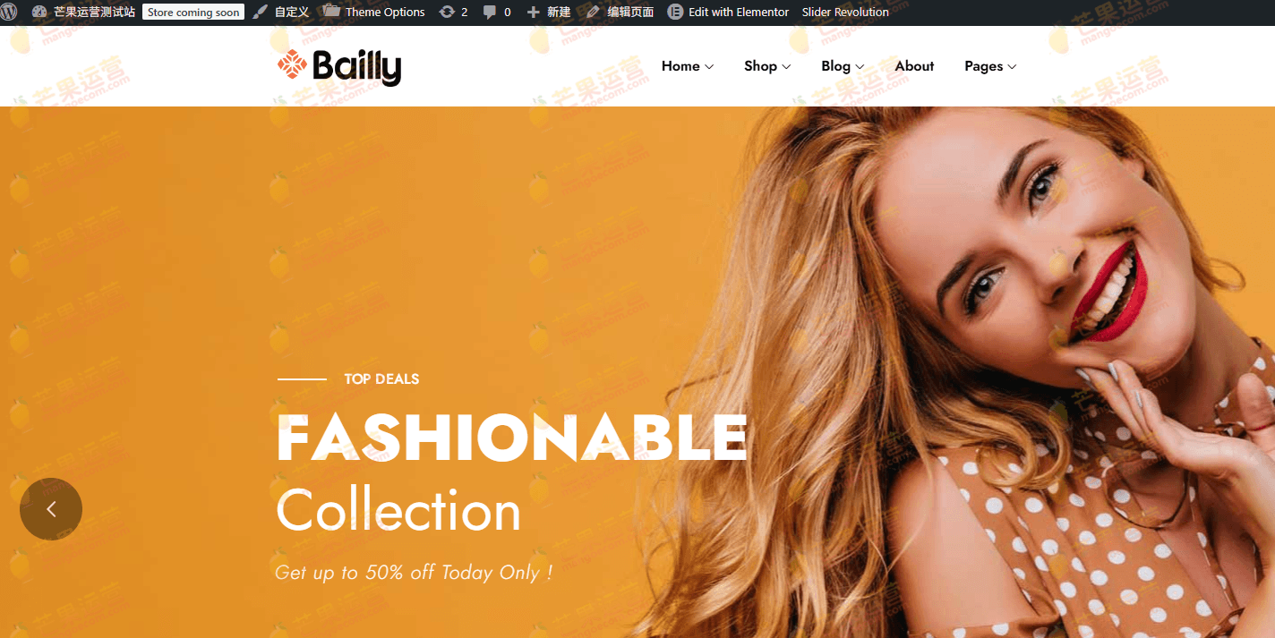 Bailly Elementor WooCommerce WordPress 主题破解版下载