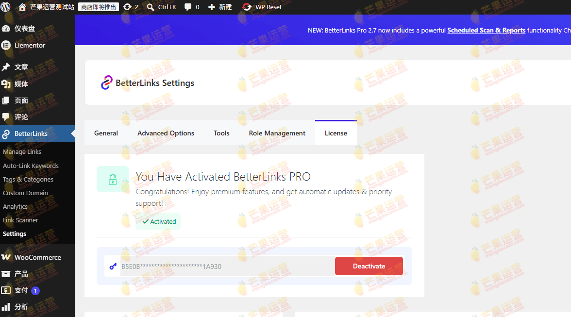 BetterLinks Pro 推广链接缩短、跟踪和管理任何URL插件破解版下载