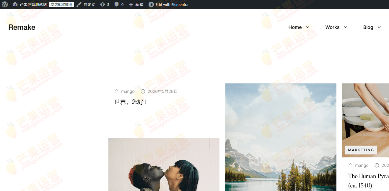 Remake Minimalist Portfolio WordPress 主题破解版下载