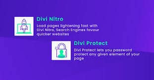 Divi Nitro v.3.6.2 使用 Divi Nitro 加速 Divi主题插件下载