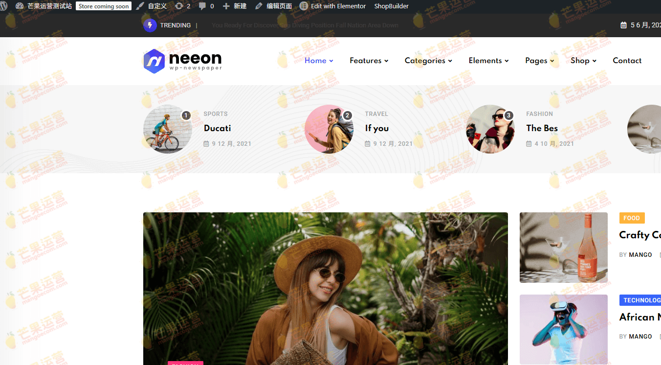 Neeon WordPress 新闻杂志主题下载