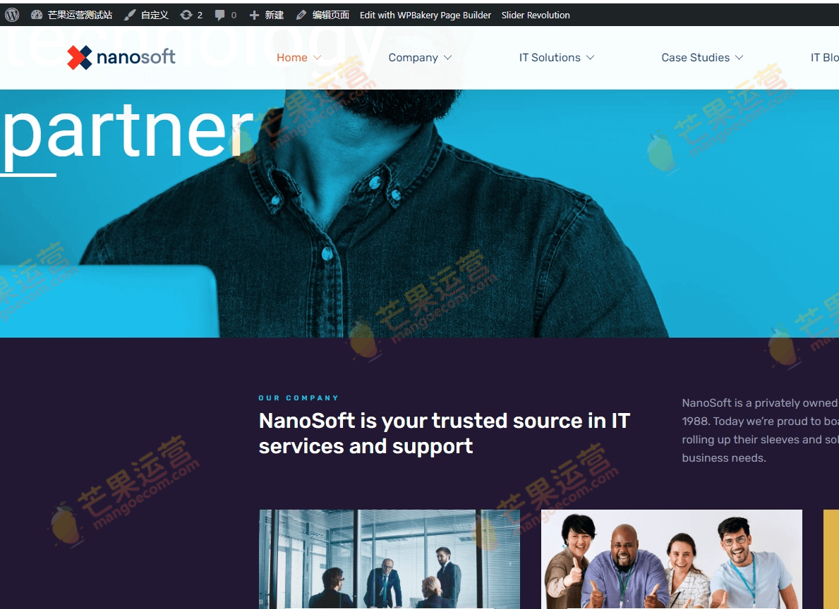 Nanosoft IT解决方案和服务公司的WP主题破解版下载