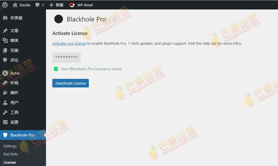 Blackhole Pro WordPress 机器人攻击保护插件破解版下载