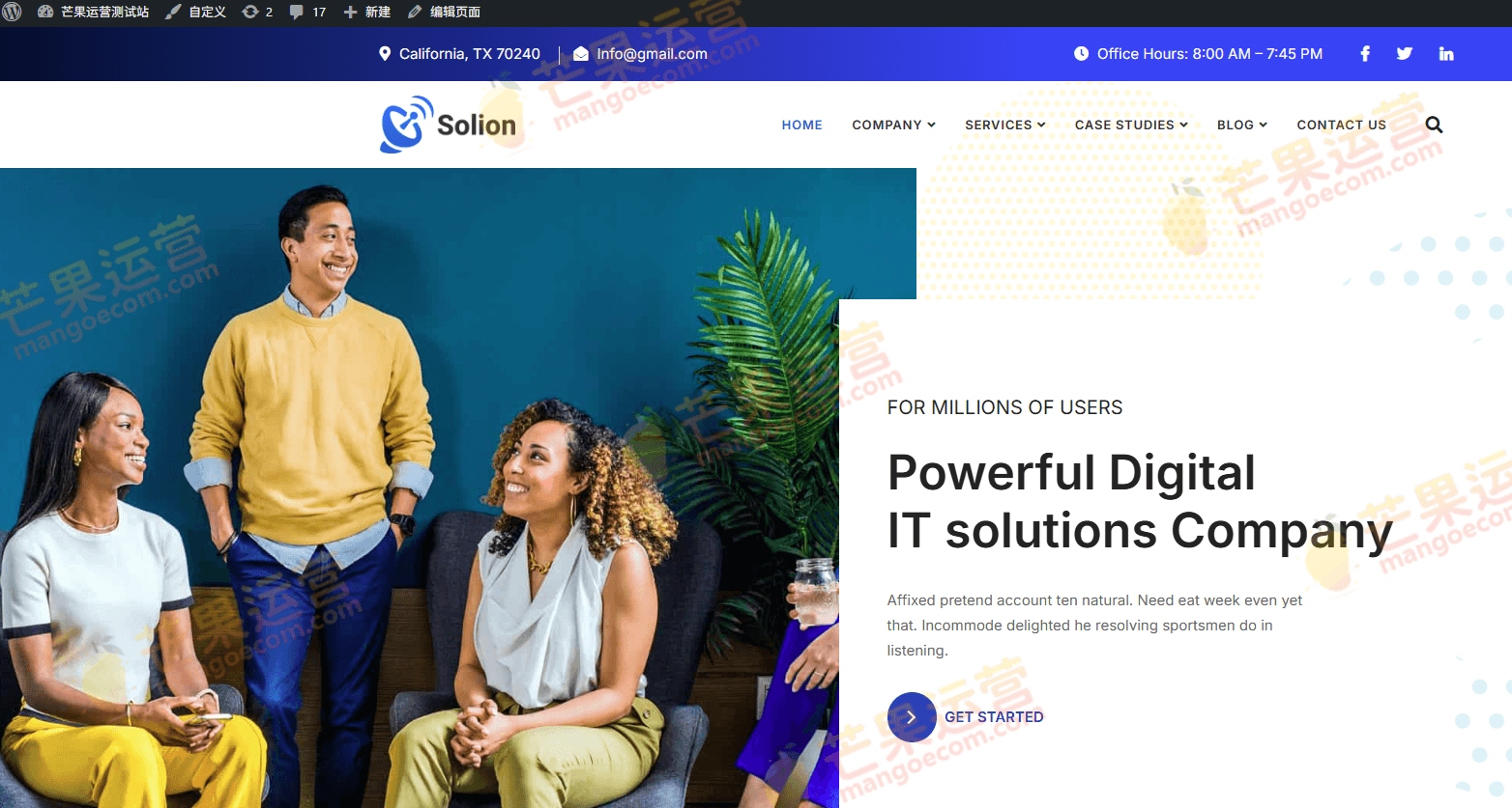 Solion Theme GPL 技术与 IT 解决方案 WordPress 网站主题破解版下载