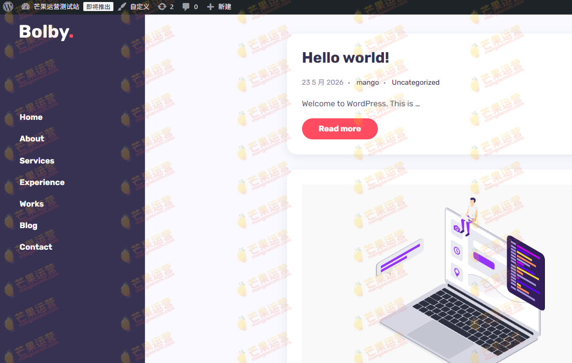 Bolby ortfolio CV Resume WordPress 主题破解版下载
