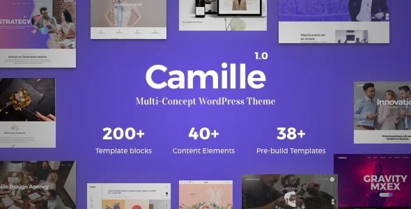 Camille v1.5.1 – 多概念 WordPress 主题破解版下载