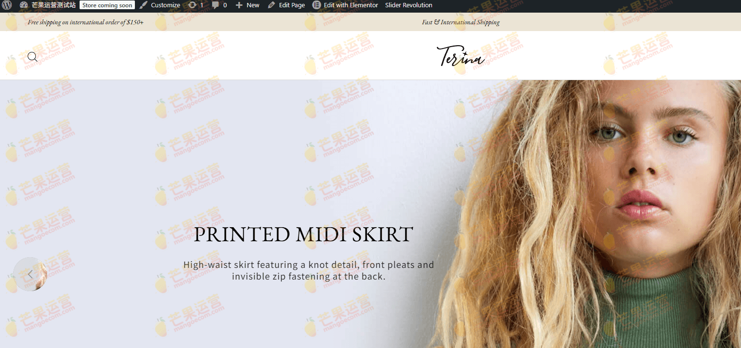 Terina 多用途 Elementor WooCommerce 主题破解版下载
