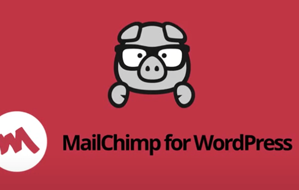 MC4WP v4.9 适用于 WordPress 高级版的 Mailchimp插件下载