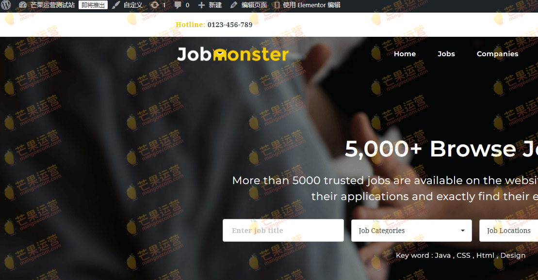 Jobmonster主题破解版下载
