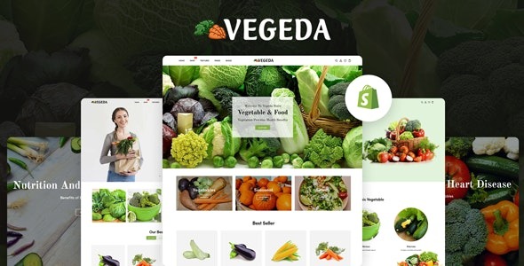 Vegeda v1.0 – 蔬菜和有机食品 Shopify 主题下载