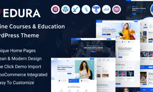 Edura v2.0.0 在线课程和教育 WordPress 主题下载
