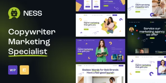 Ness Marketing Agency & SMM WordPress Theme v1.0 营销机构和 SMM WordPress 主题下载