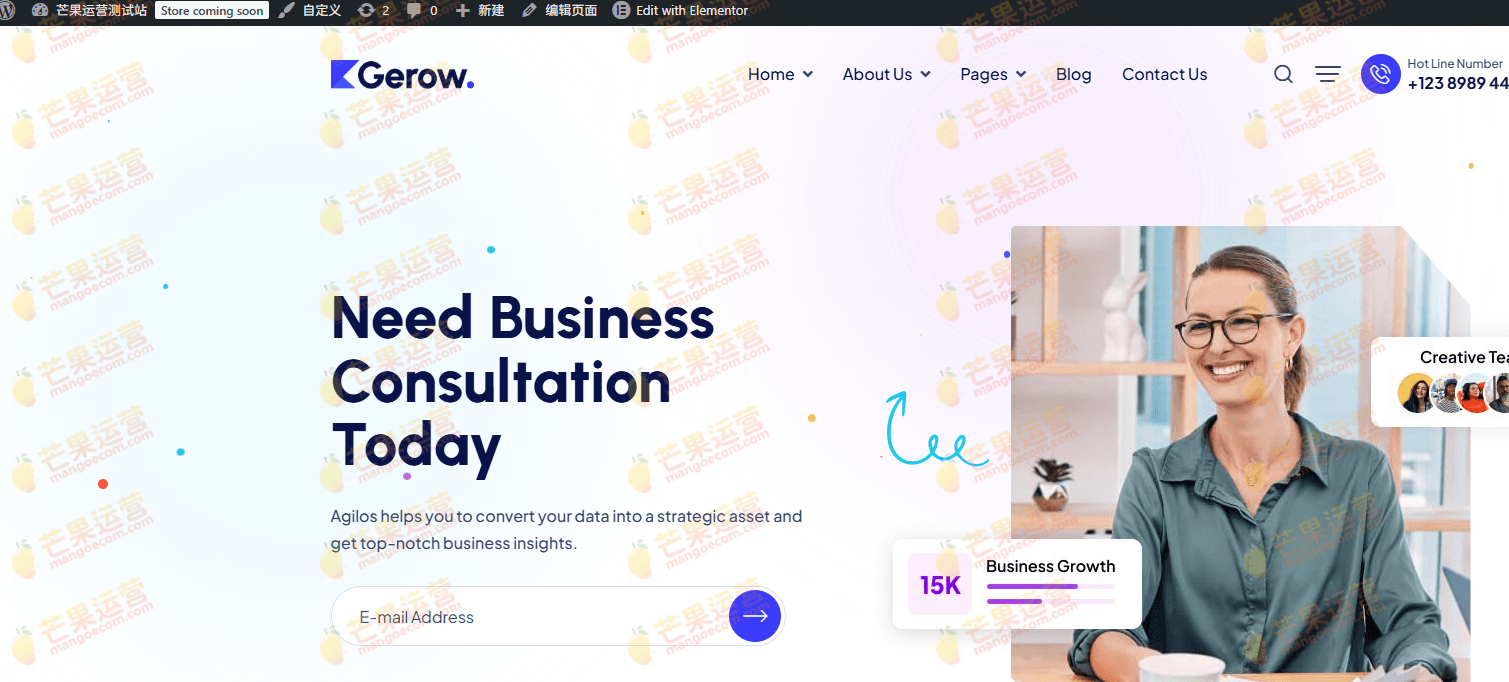 Gerow Business Consulting WordPress Theme 商业咨询 WordPress 主题下载