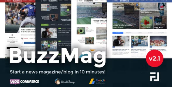 BuzzMag v2.3 病毒式新闻 WordPress 杂志/博客主题下载