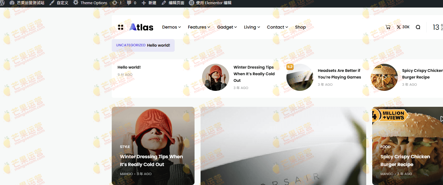 Atlas 创意博客和新闻 WordPress 主题下载