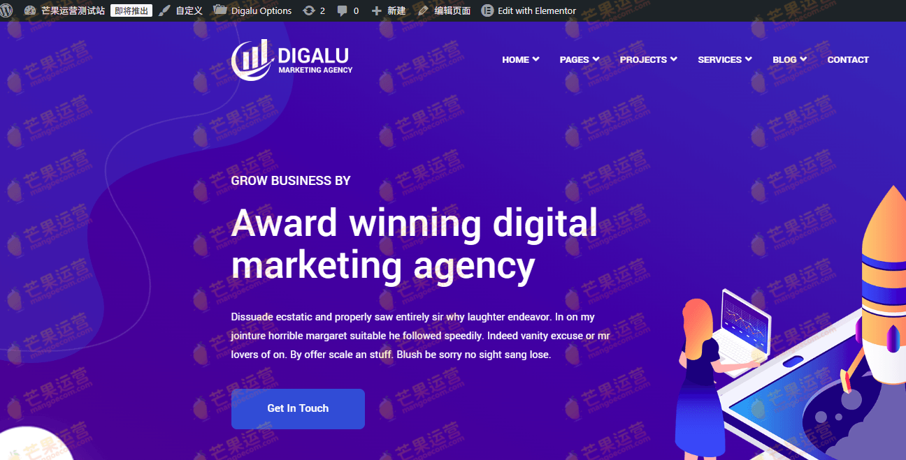 Digalu 数字营销机构 WordPress主题下载