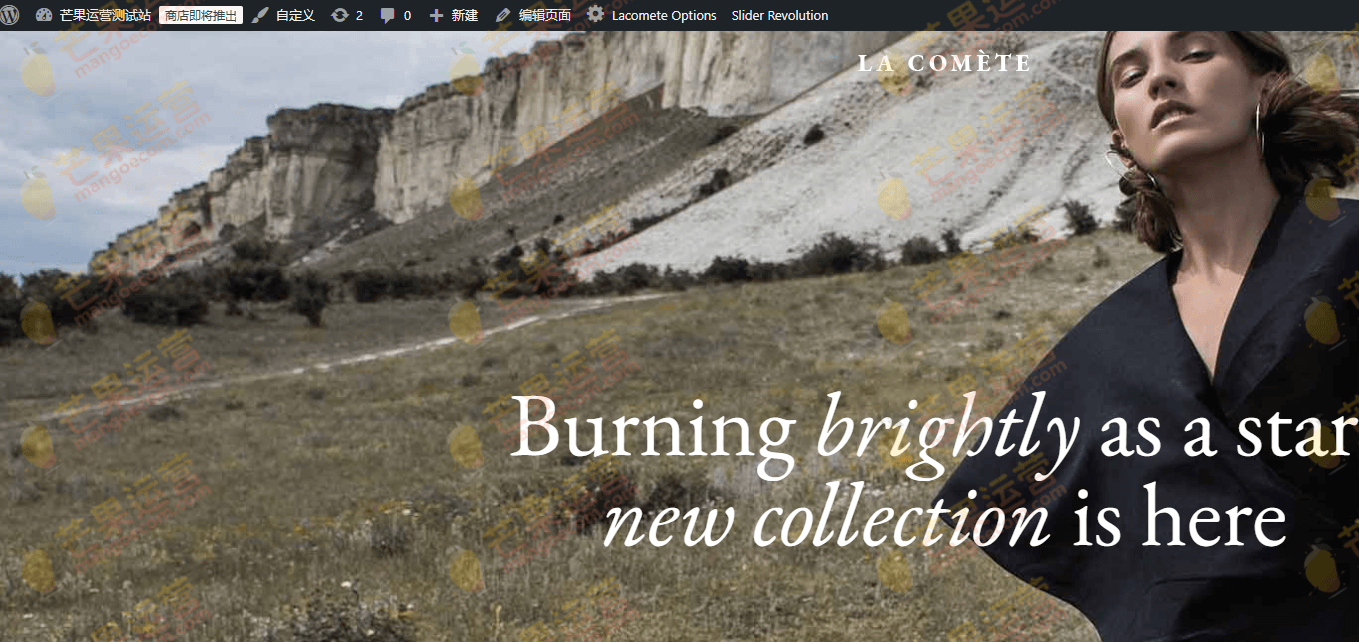 Screenshot of La Comète fashion clothing store WordPress theme interface